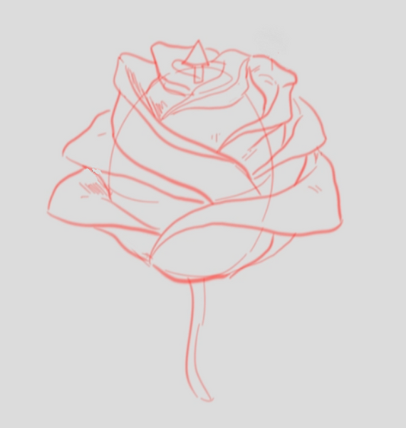 How To Draw A Rose: A Drawing Lesson With A Step By Step Guide (Alternative A)